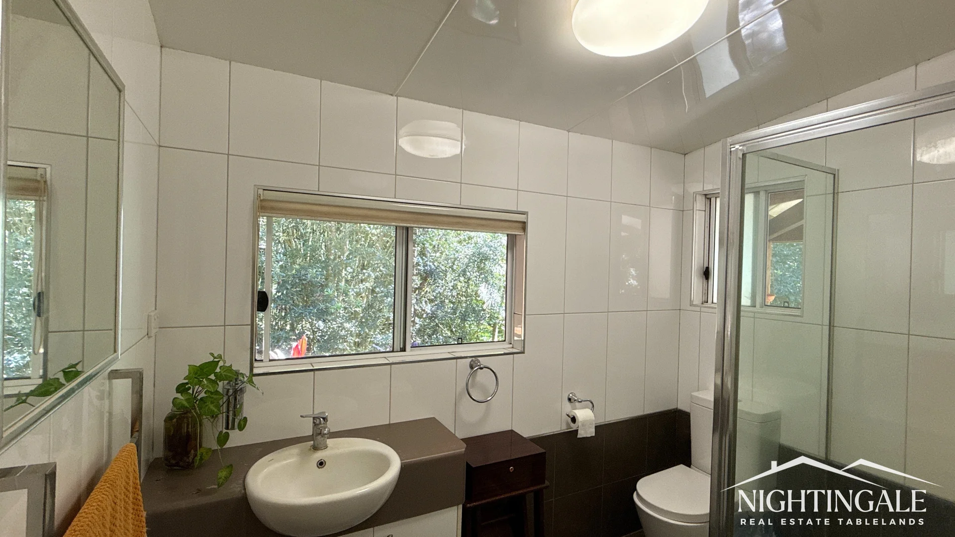 Additional image 16 of Lake Eacham QLD 4884