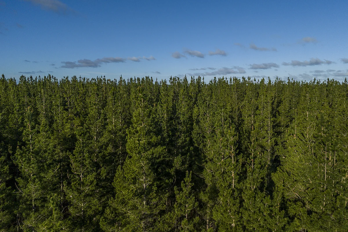 Additional image 11 of 125 Moonlight Road, Killara VIC 3312