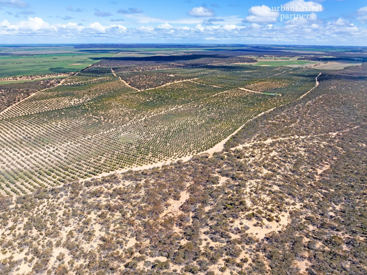 Additional image 10 of 1575 Kringin Road, Karte SA 5304