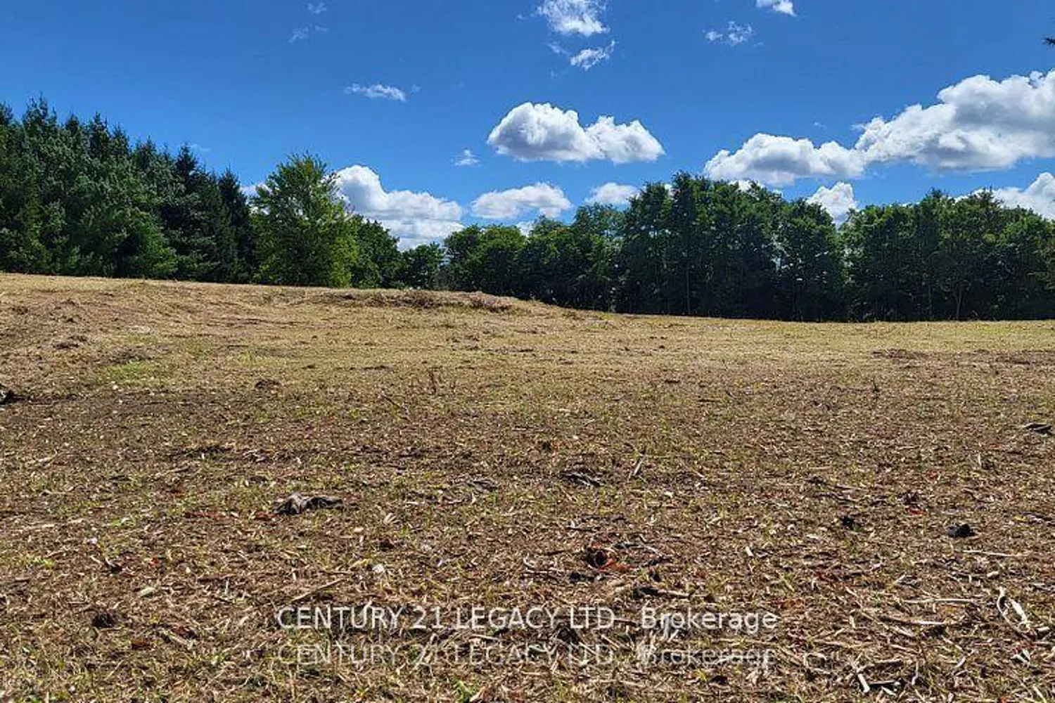 Additional image 12 of 1278 Hwy 5