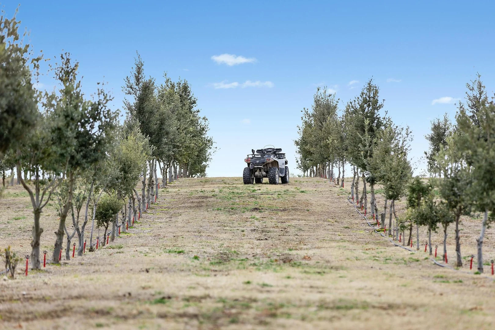 Additional image 32 of 71 Birril Close, Springrange NSW 2618