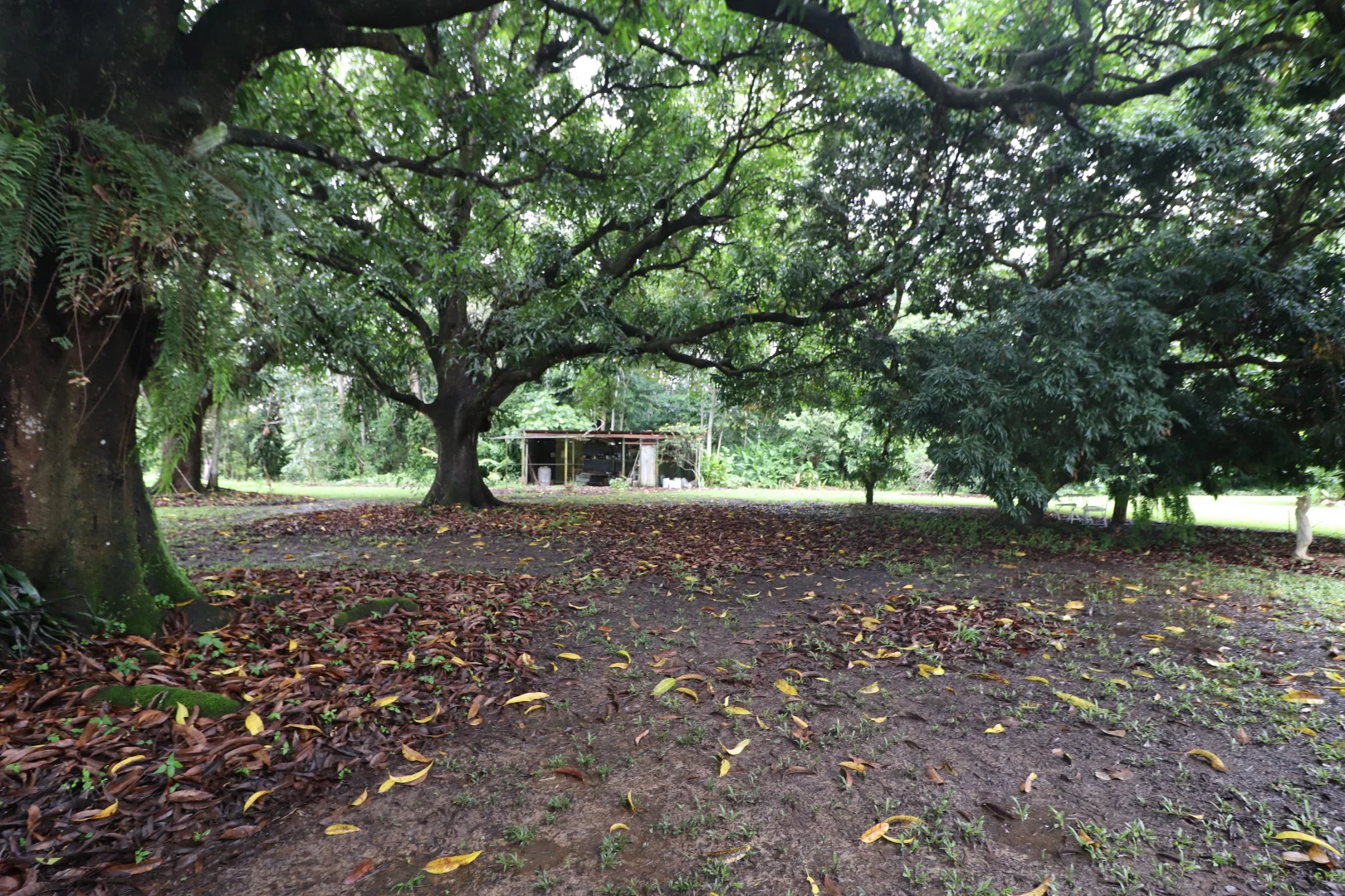 Additional image 24 of Lannercost Extension Rd, Lannercost QLD 4850