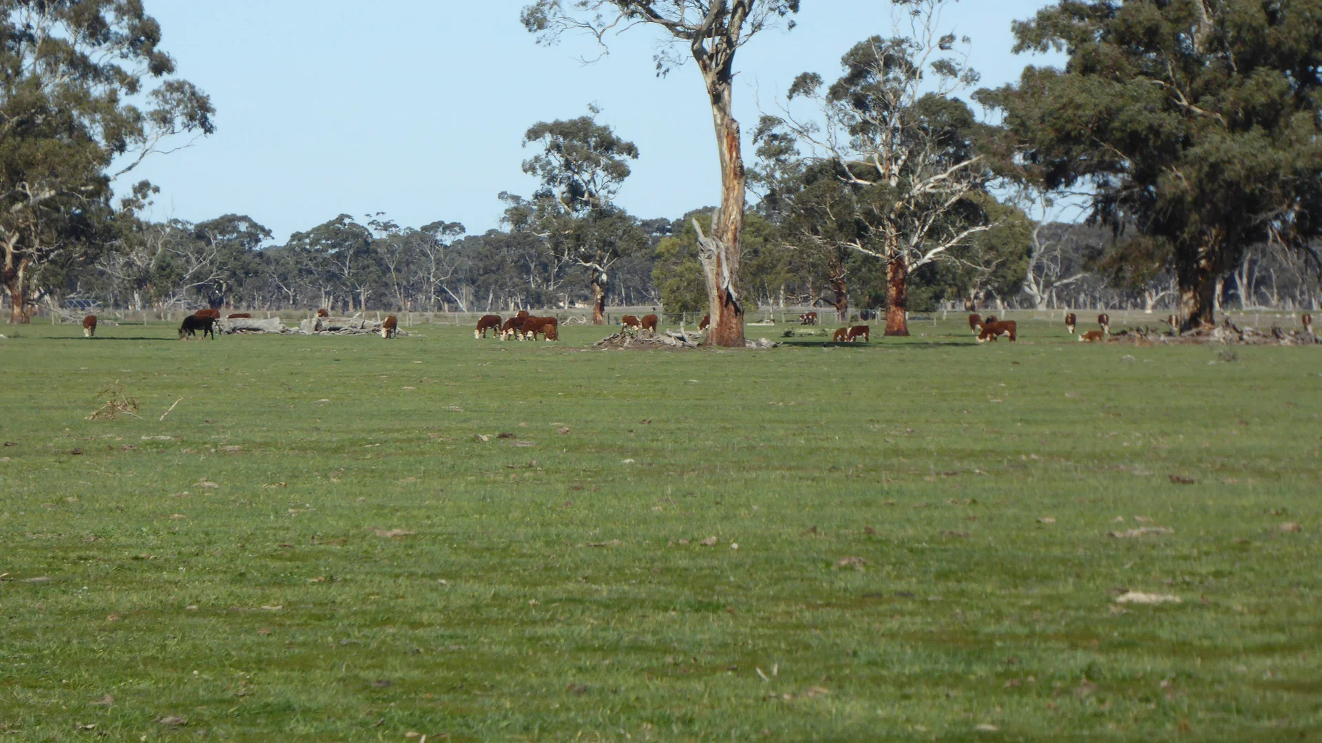 Additional image 18 of 2147 Bangham Road, Frances SA 5262