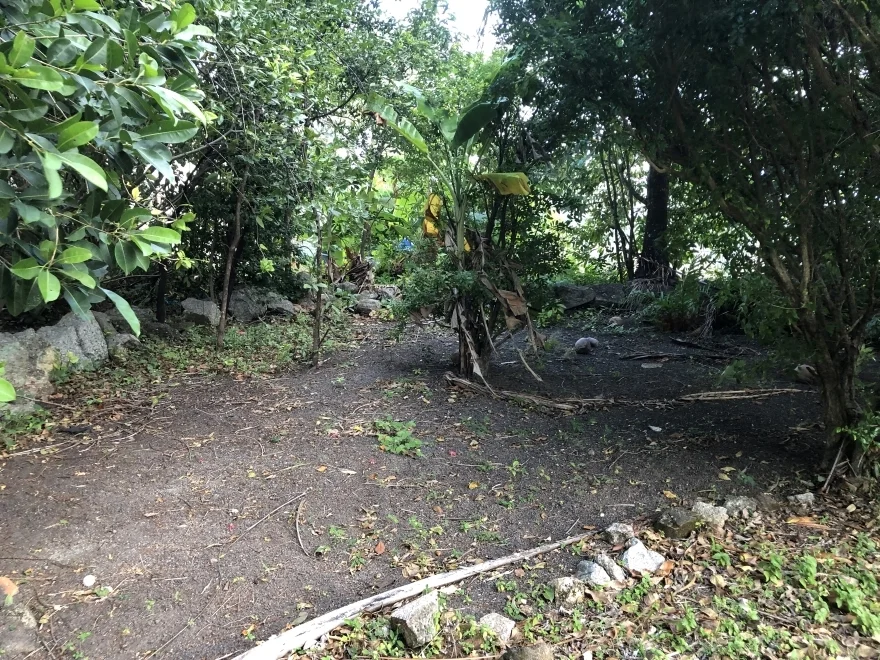 Additional image 22 of 4 Furneaux St, Cooktown QLD 4895