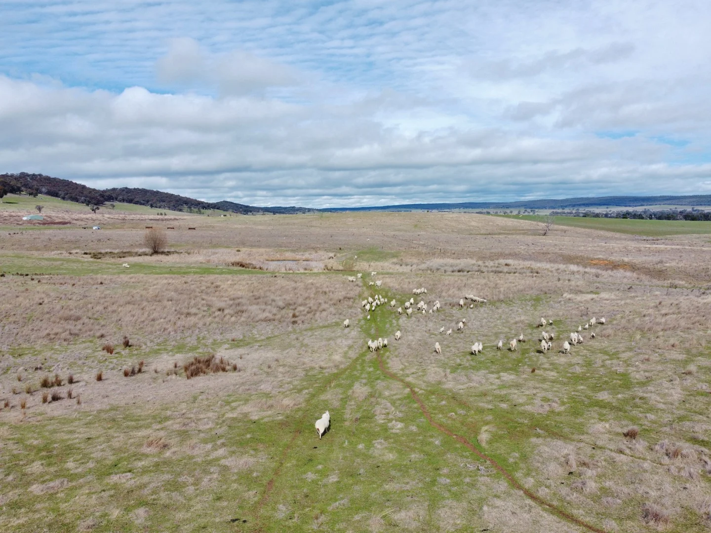 Additional image 5 of 127 Calabash Road, Murringo, via, Young NSW 2594