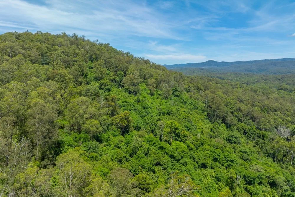 Additional image 6 of 384 Eastern Boundary Road, Rollands Plains NSW 2441