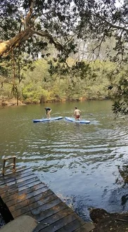 Additional image 23 of 406A Backhouse Road, Mogood NSW 2538