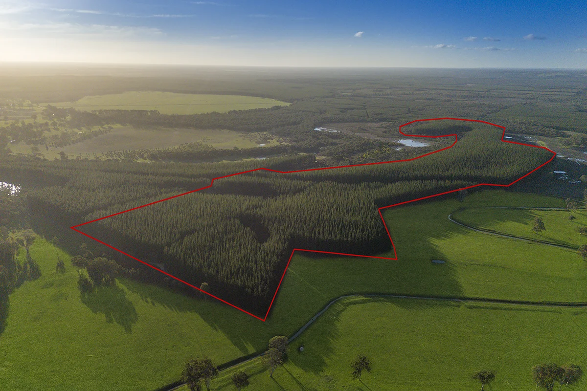 Additional image 13 of 125 Moonlight Road, Killara VIC 3312