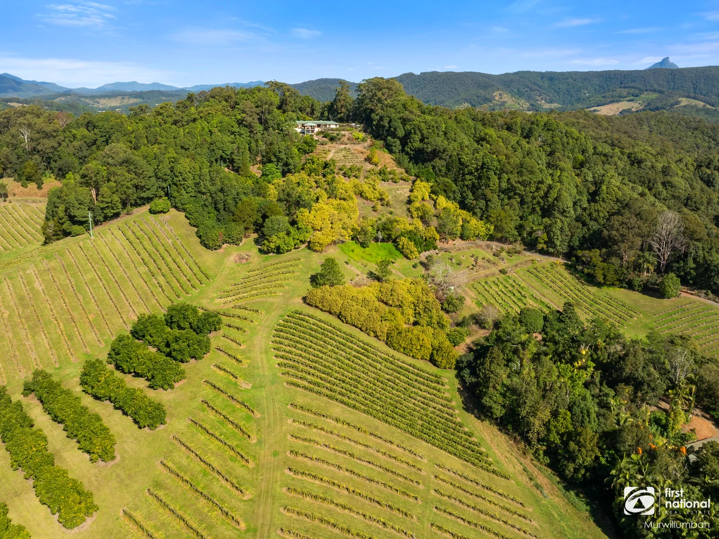 Additional image 27 of 7083 Tweed Valley Way, Dunbible NSW 2484