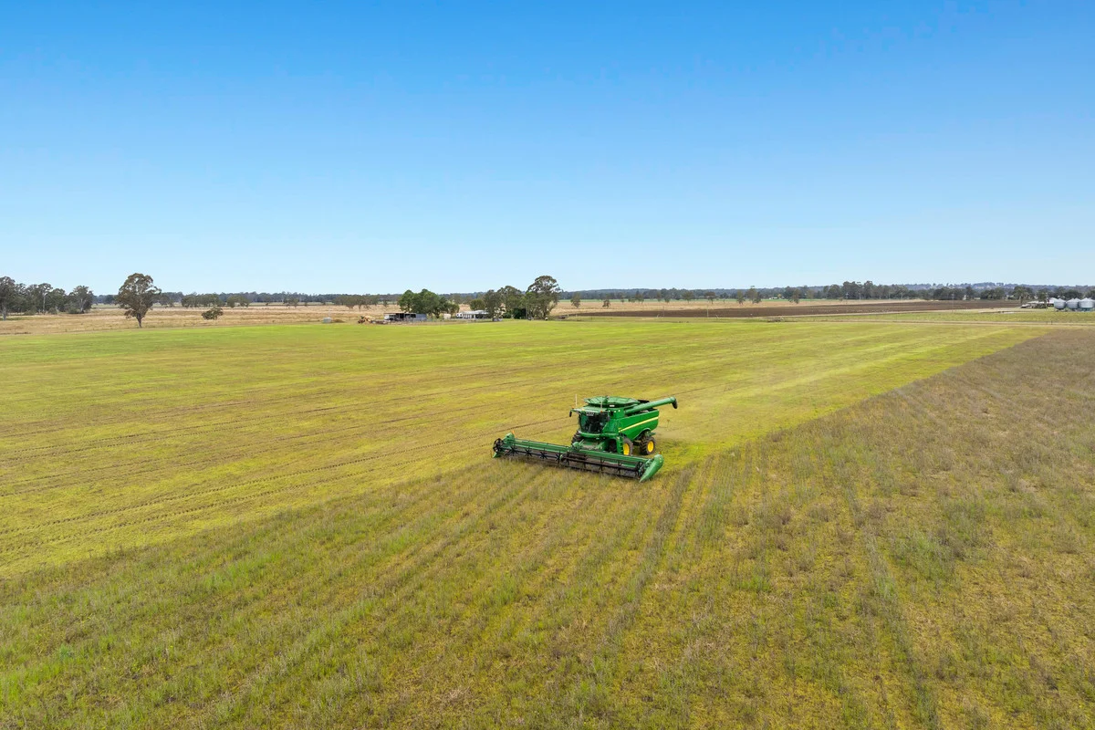 Additional image 36 of 320 Shannonbrook Road, Shannon Brook NSW 2470