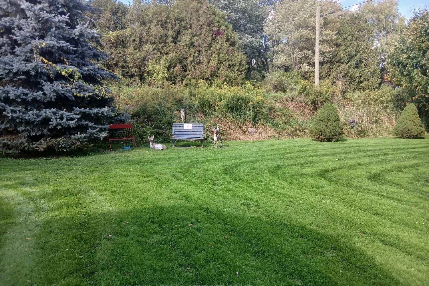 Additional image 20 of 883 7Th Avenue