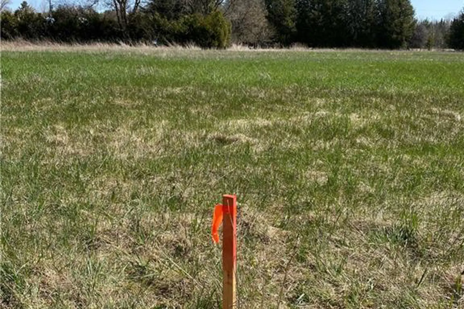 Additional image 10 of L12c1p2 Union Road