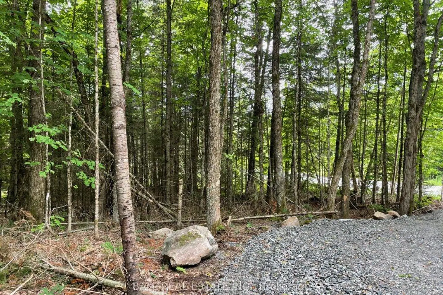 Additional image 2 of 1350 Haliburton Lake Rd