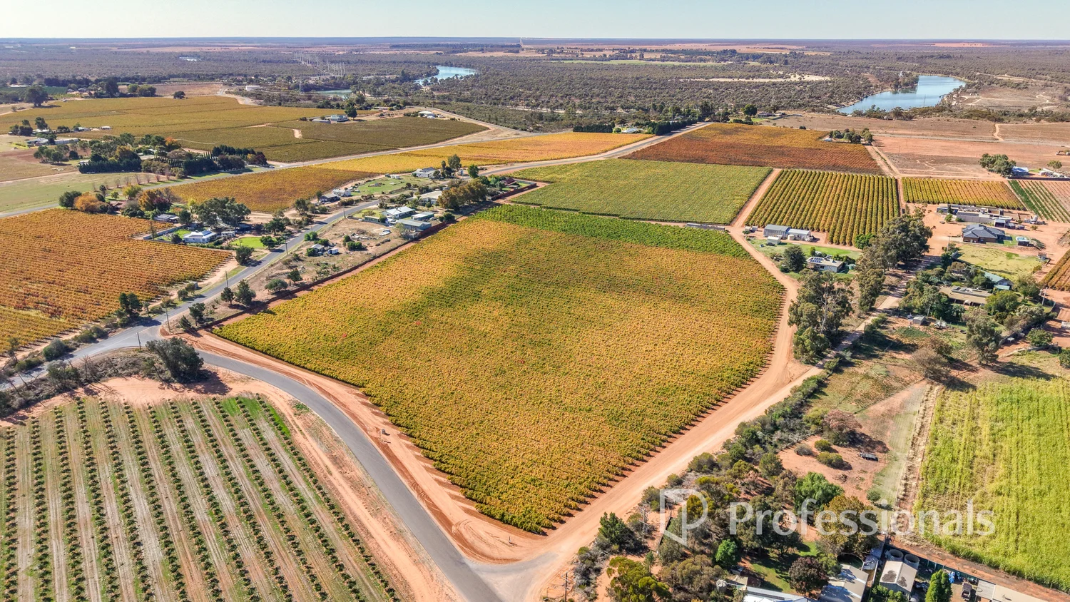 Additional image 19 of 225 Stewart Road, Red Cliffs VIC 3496