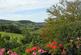 Additional image 28 of Llanfyllin, Powys, SY22