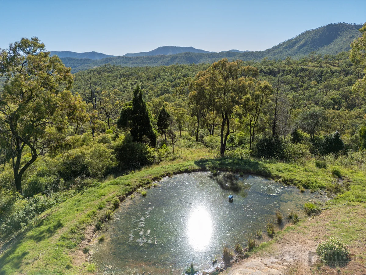 Additional image 18 of 130 Goltz Road, Black Duck Creek QLD 4343