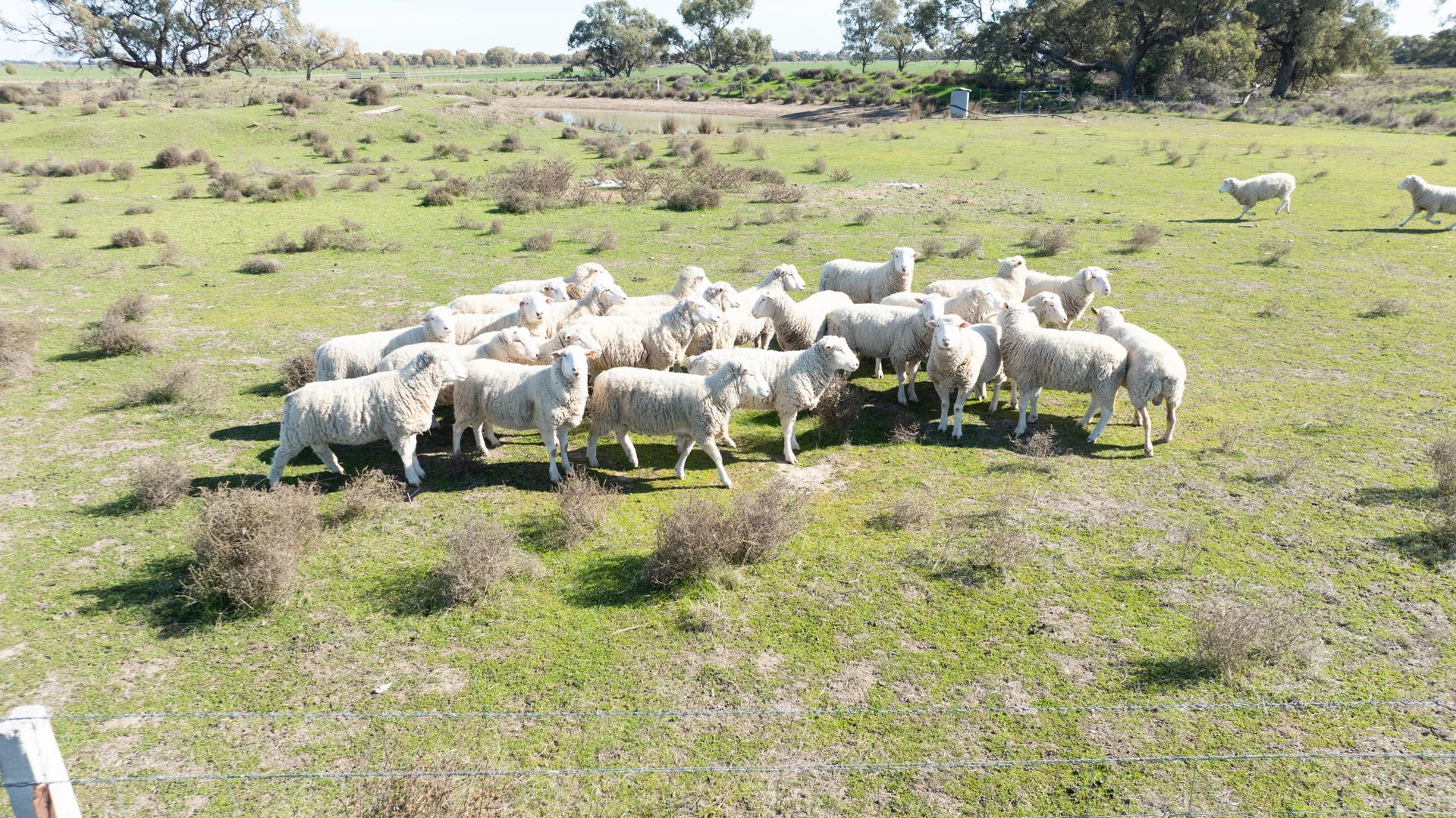 Additional image 20 of Smeatonvale Laterals Boree-Morago Rd, Deniliquin NSW 2710