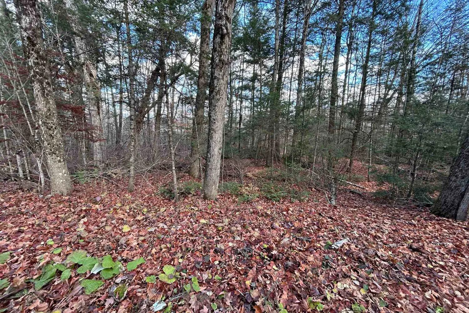 Additional image 8 of 0 Mill Lake Road