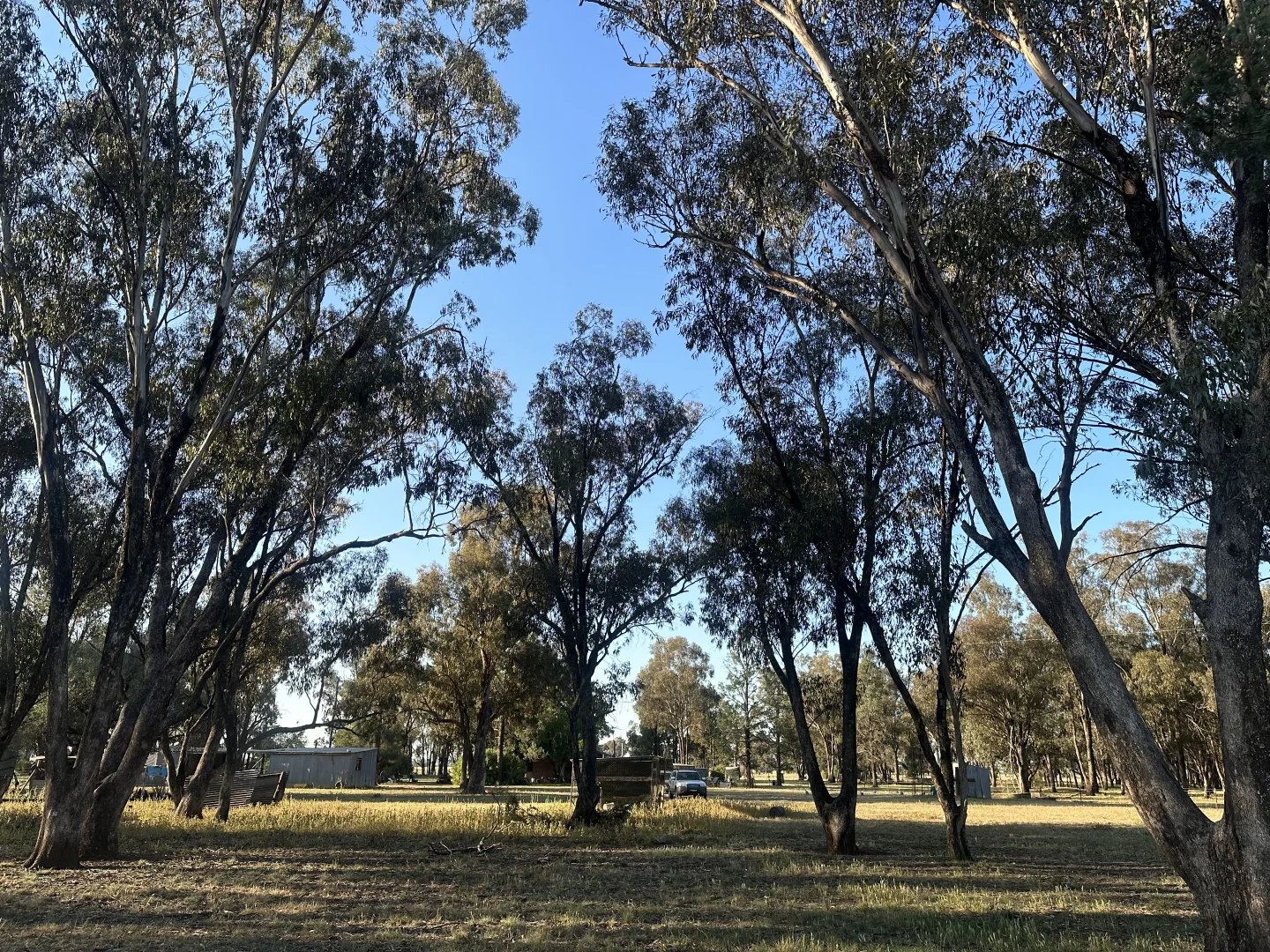 Additional image 22 of Lot 133 Troths Lane, Quandialla NSW 2721