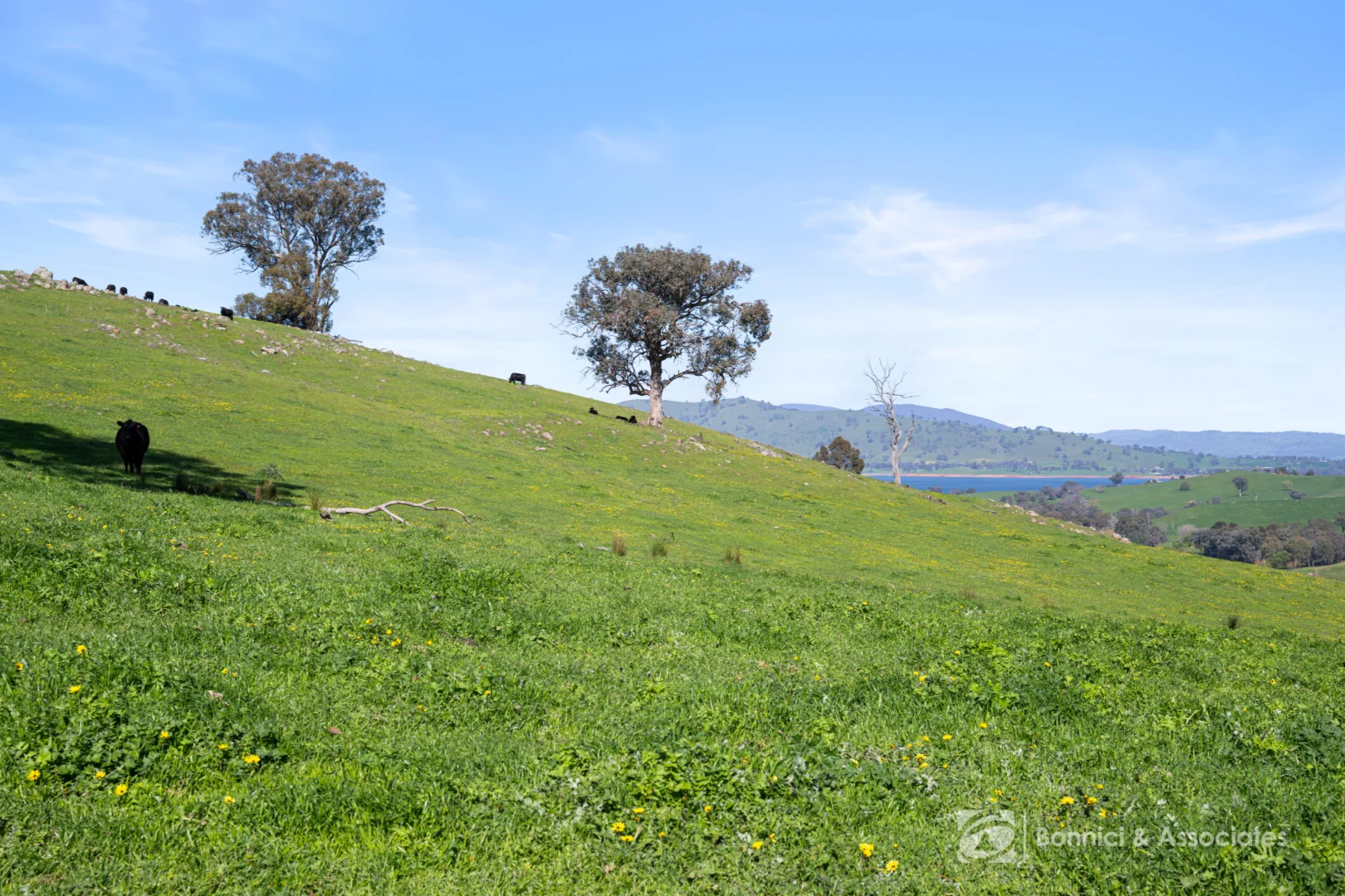 Additional image 9 of "THE OAKS" Bethanga Bay Road, Bethanga VIC 3691