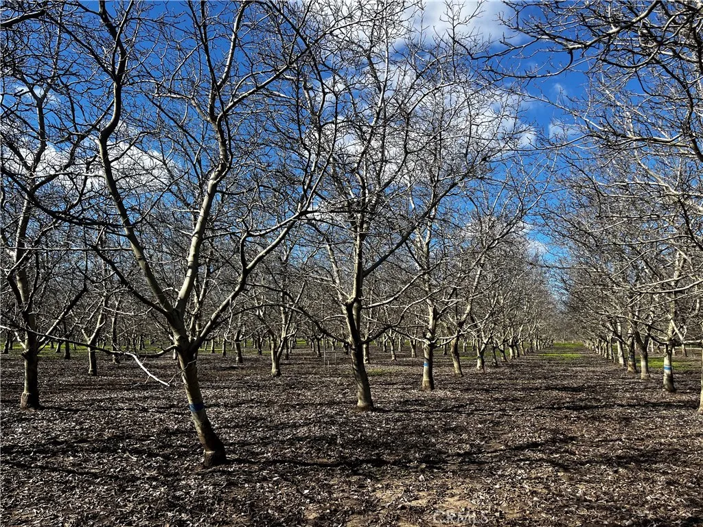 Additional image 25 of 3900 Stephens Road, Corning, CA 96021