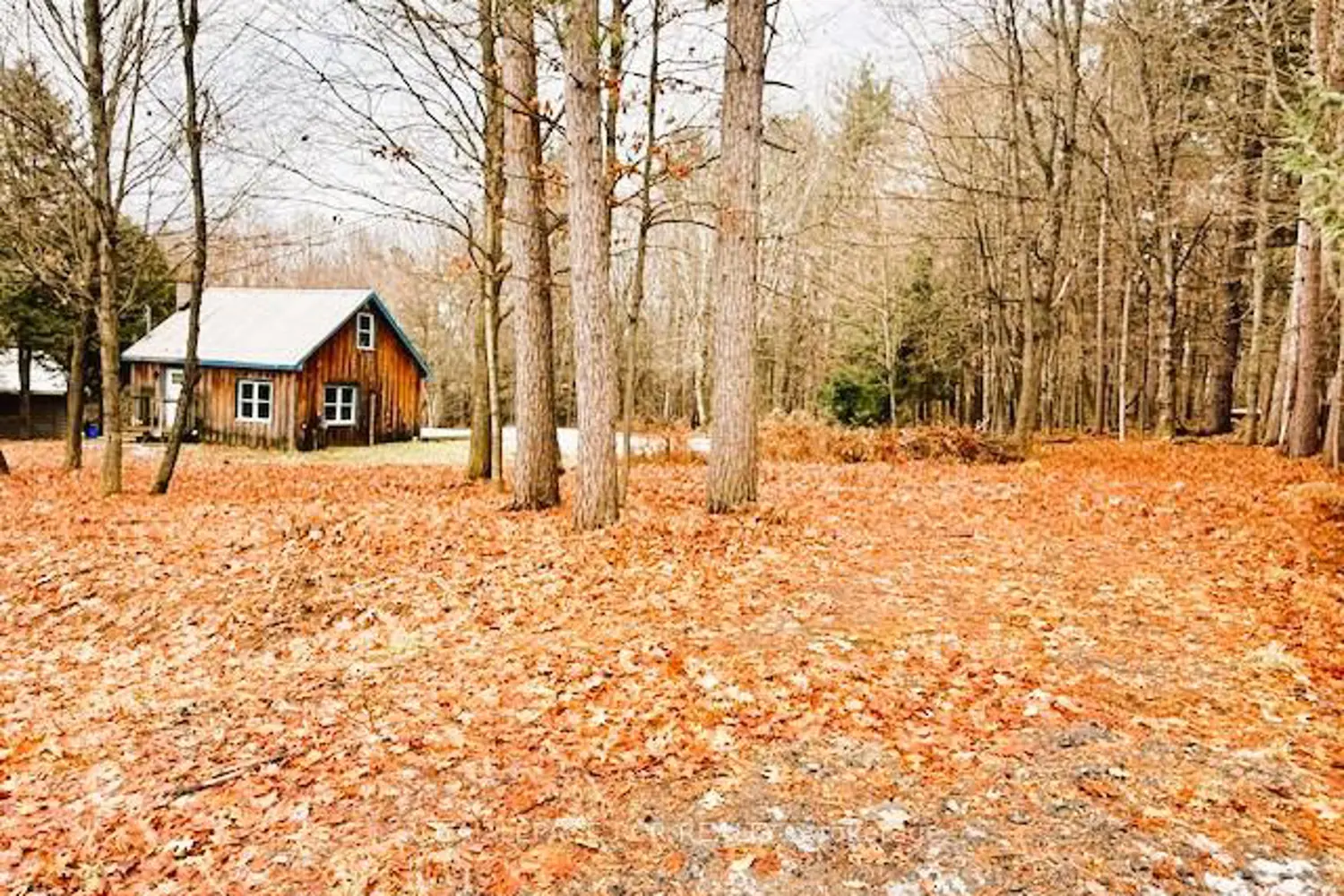 Additional image 5 of 93 Town Line Road