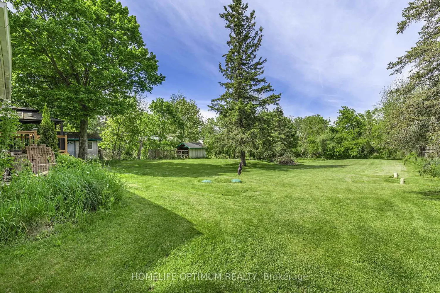 Additional image 2 of 209 Barrie Street