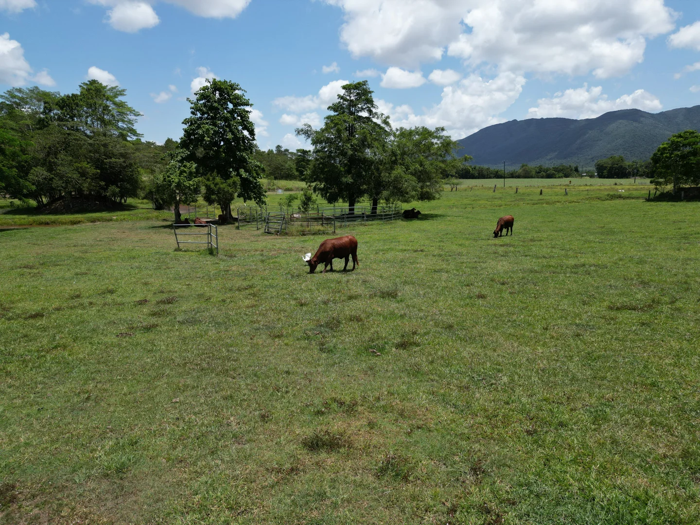 Additional image 8 of 541 Bulgun Rd, Feluga QLD 4854