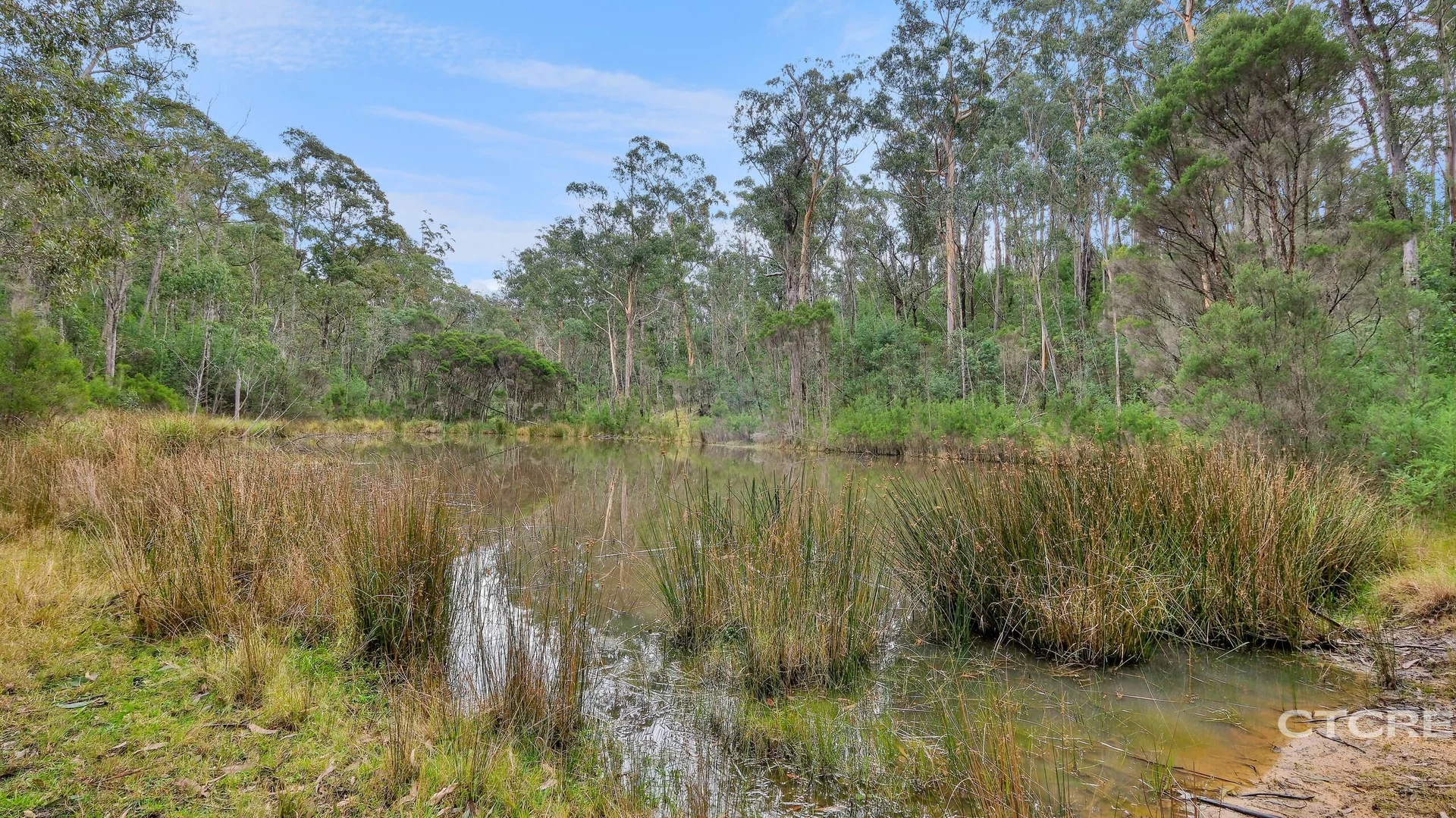 Additional image 20 of 1664 Wangarabell Road, Wangarabell VIC 3891