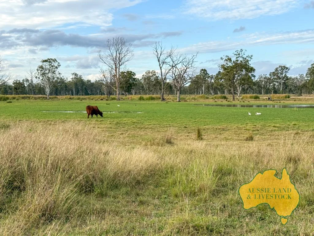 Additional image 58 of 8 SCREENING PLANT ROAD, Cynthia QLD 4627