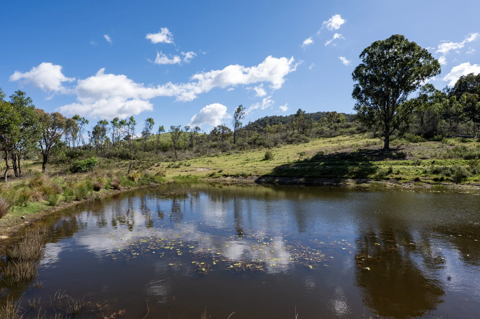 Additional image 6 of 1883 Queens Pinch Road, Mudgee NSW 2850