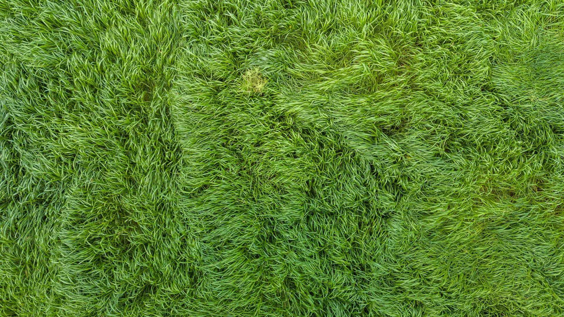 Additional image 28 of 771 Belt Road, Millicent SA 5280