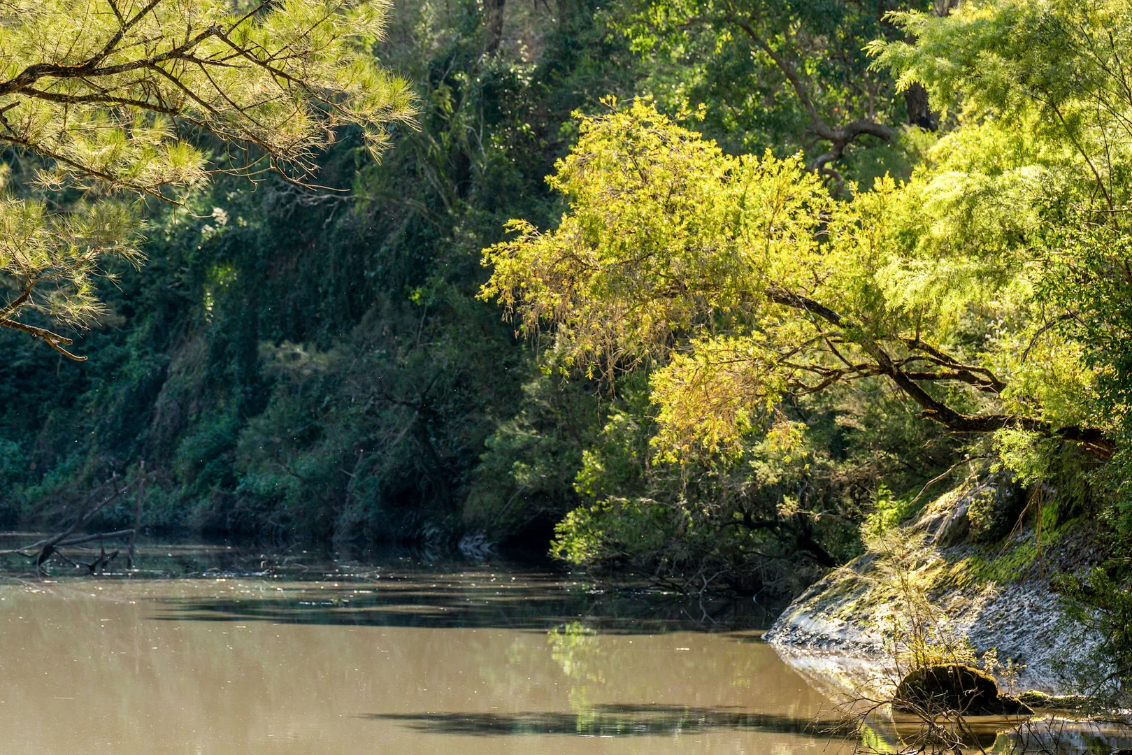 Additional image 19 of 119 Paddys Flat Road, Tabulam NSW 2469