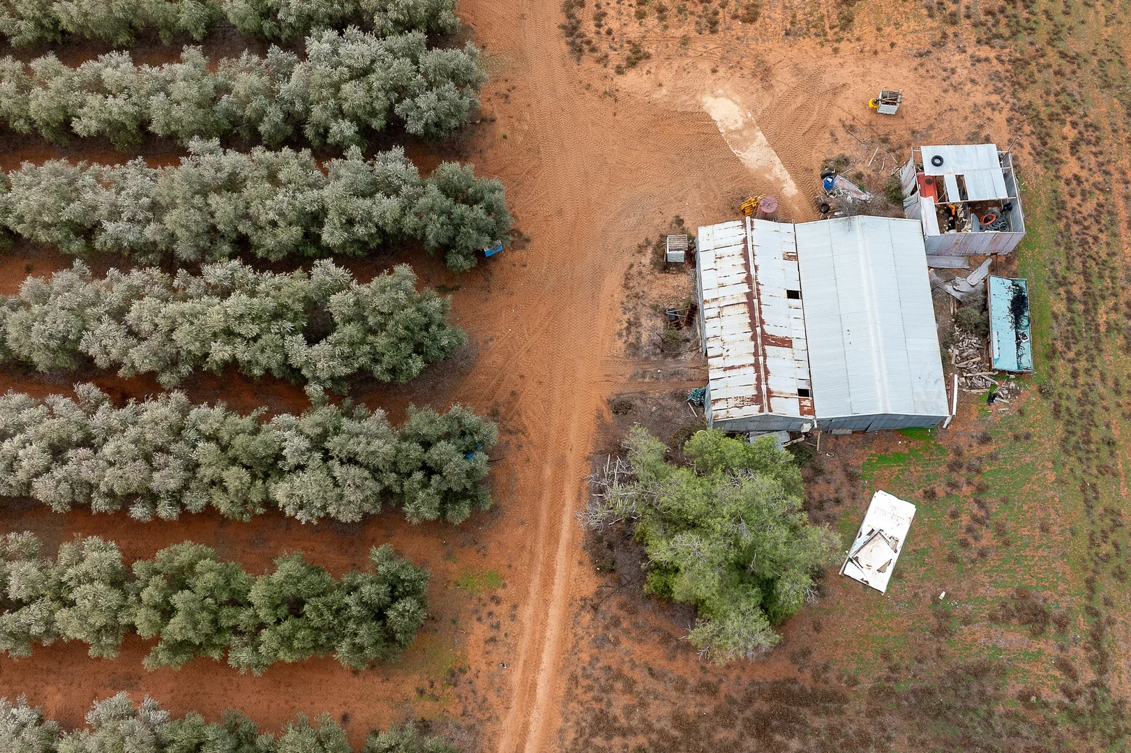 Additional image 11 of 334 Katarapko Crescent, Winkie SA 5343