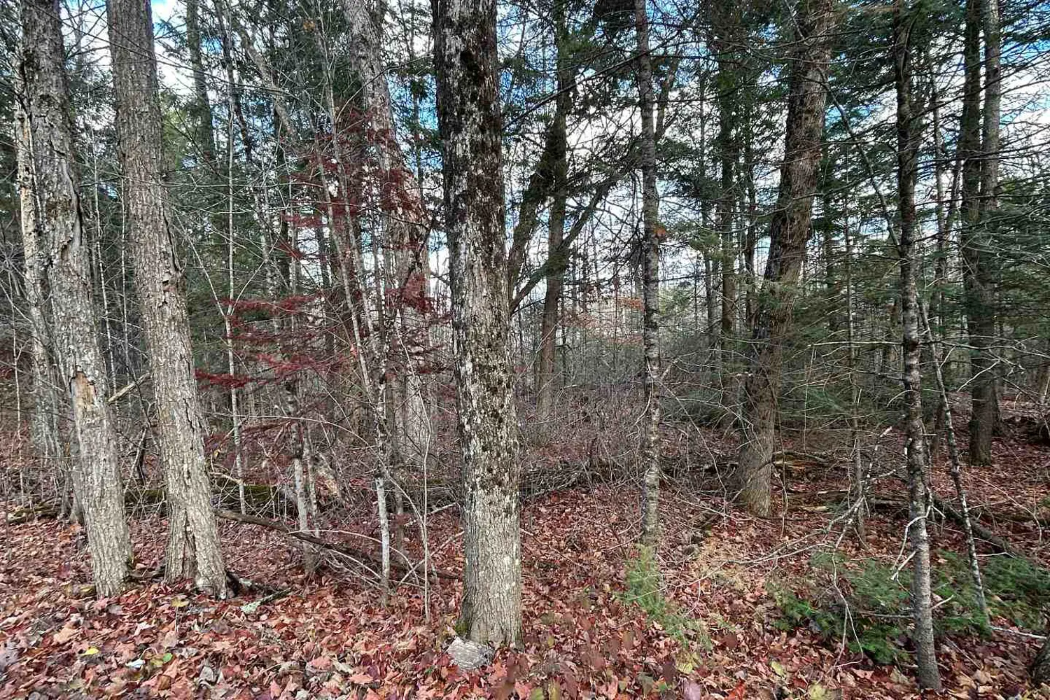 Additional image 9 of 0 Mill Lake Road