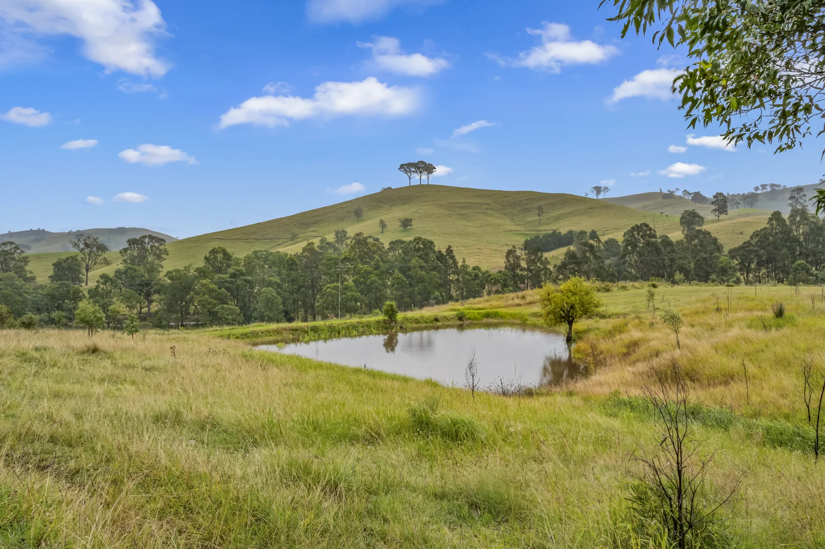 Additional image 24 of 'Tangory' 1786 Glendonbrook Road, Glendon Brook NSW 2330