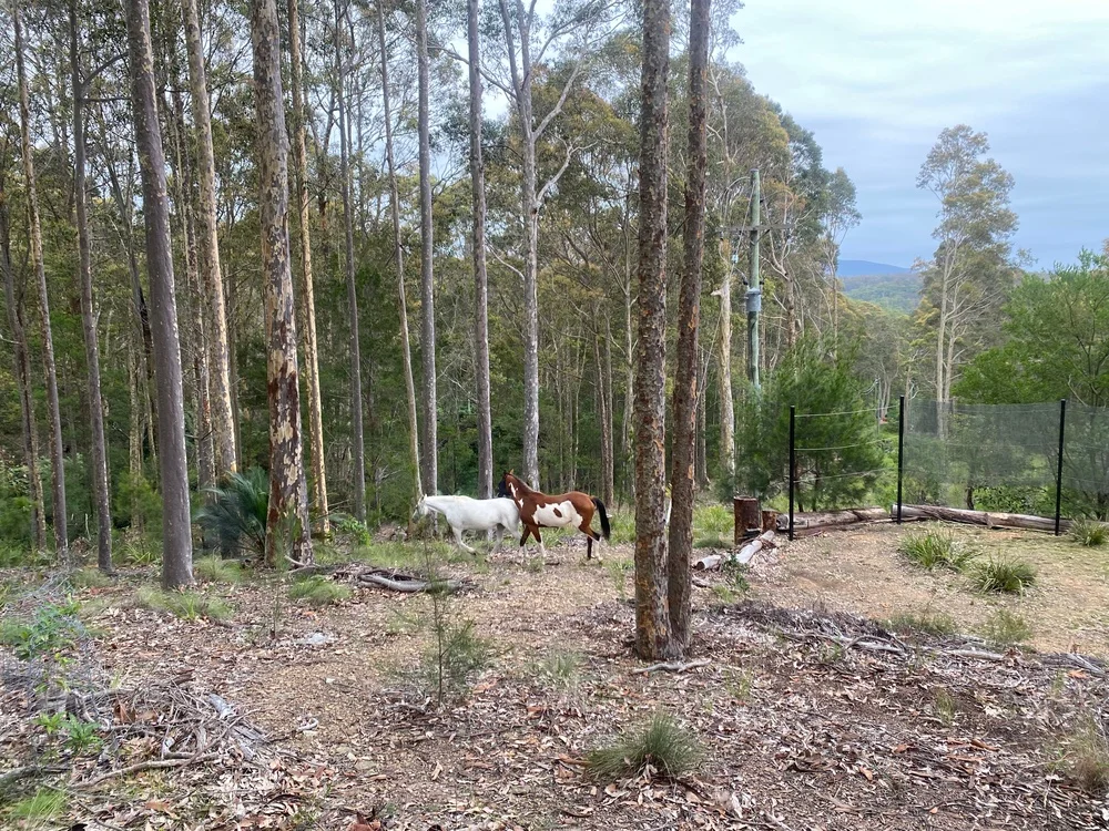 Additional image 17 of 103 Black Marlin Drive, Bermagui NSW 2546