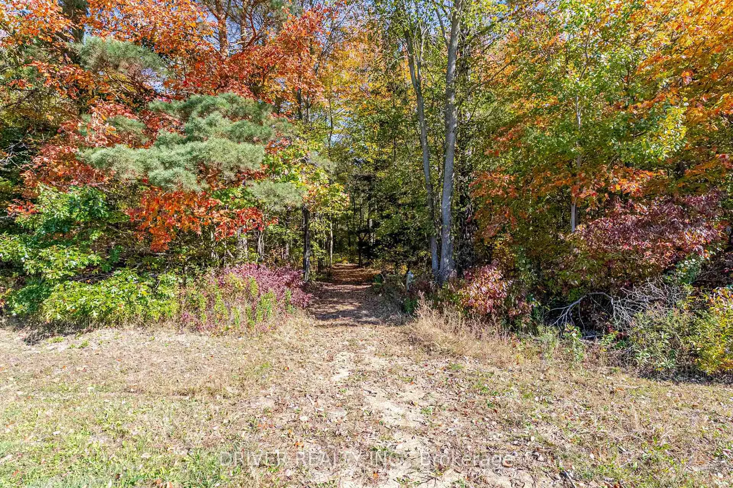 Additional image 16 of 1726 4Th Concession Road