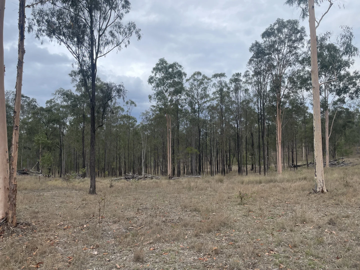 Additional image 19 of Eidsvold QLD 4627