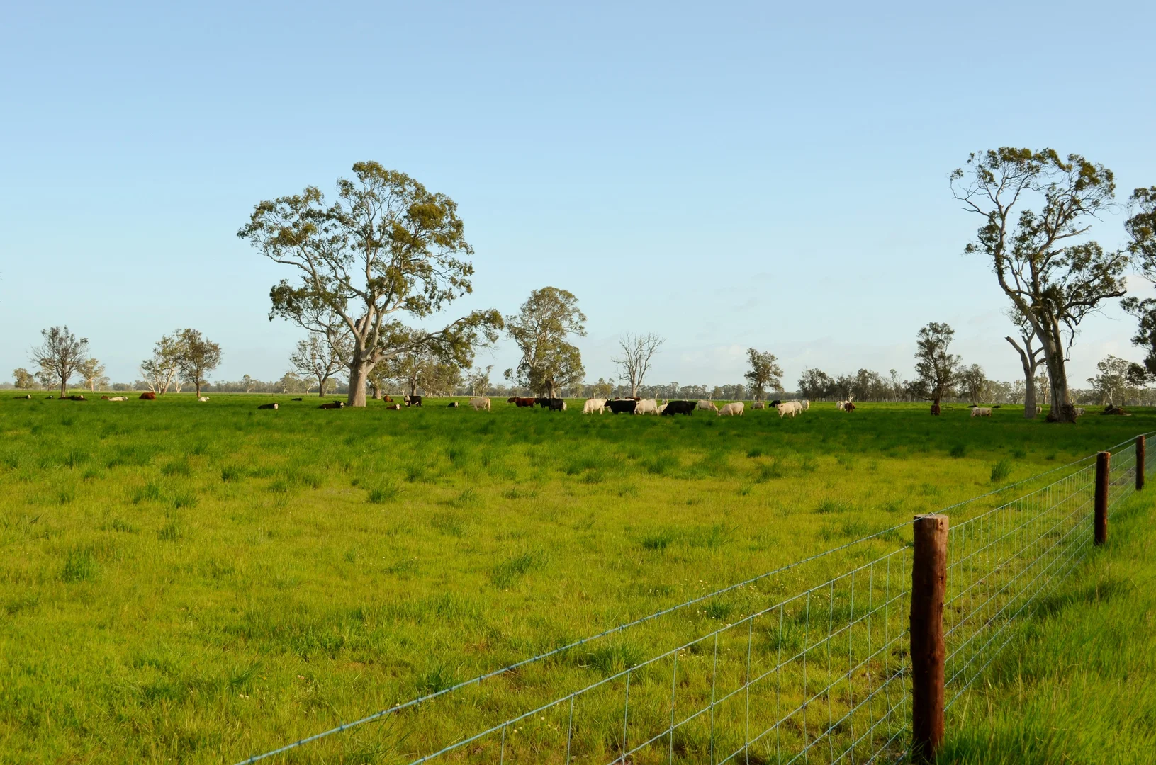 Additional image 4 of 1898 Patyah Road, Edenhope VIC 3318