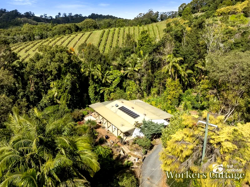 Additional image 34 of 7083 Tweed Valley Way, Dunbible NSW 2484