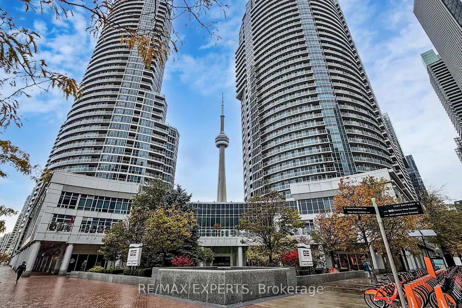 8 York Street 2905