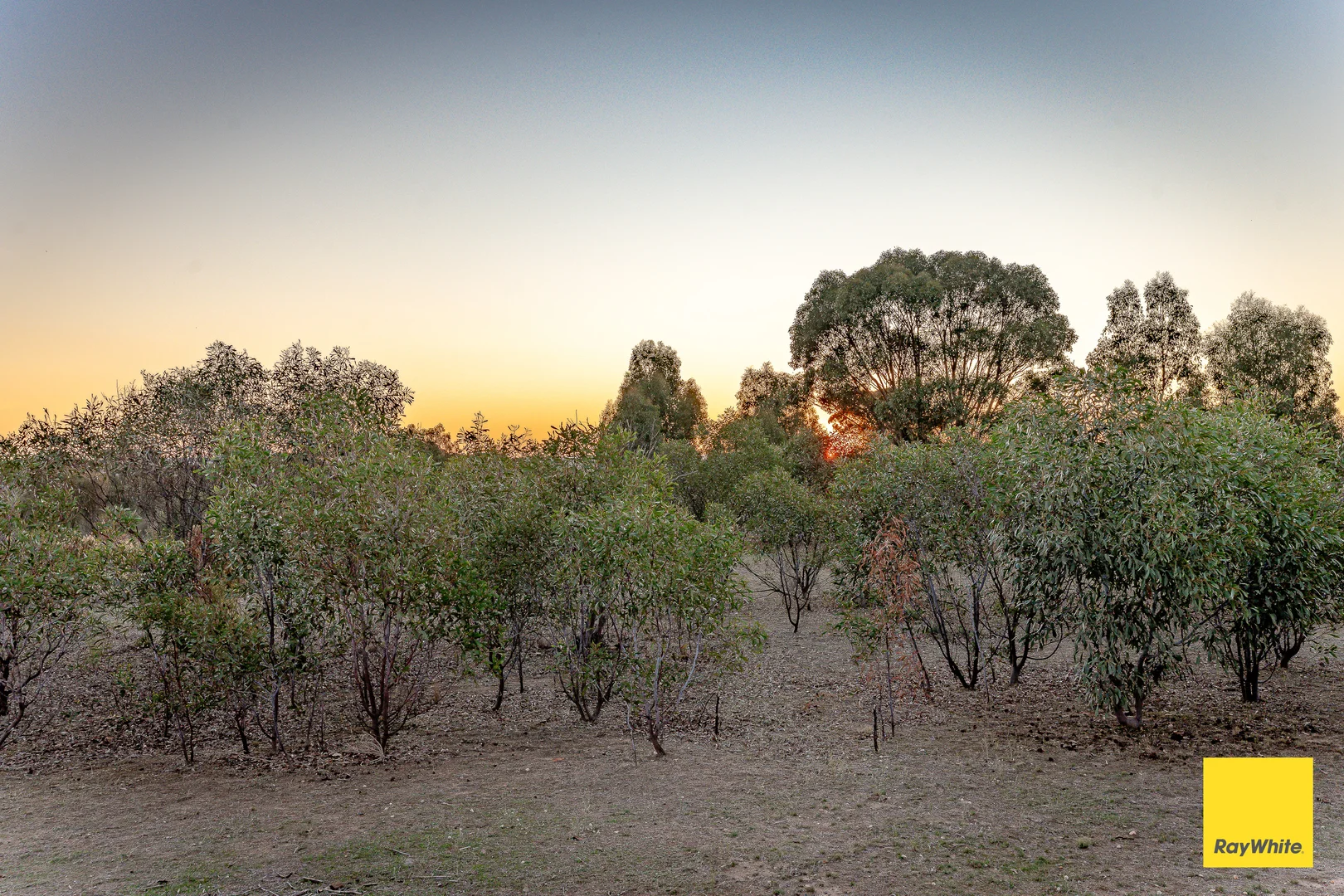 Additional image 36 of 518 Mount Back Road, Tarrengower VIC 3463