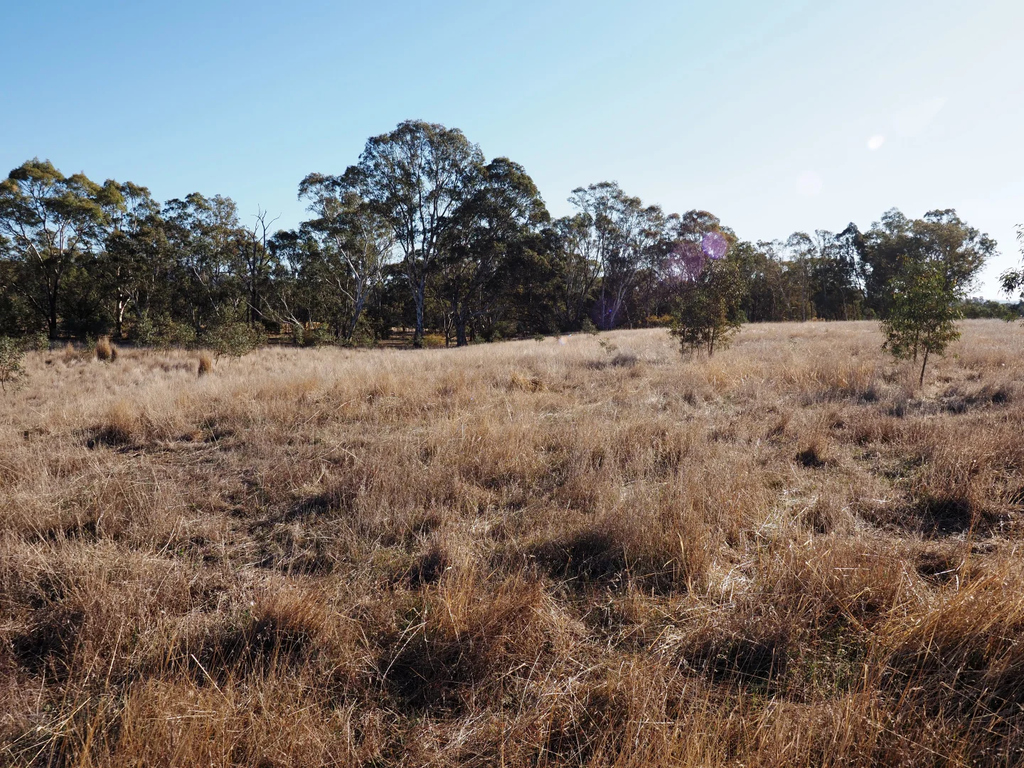 Additional image 3 of CA5 Racecourse Road, Redbank VIC 3477