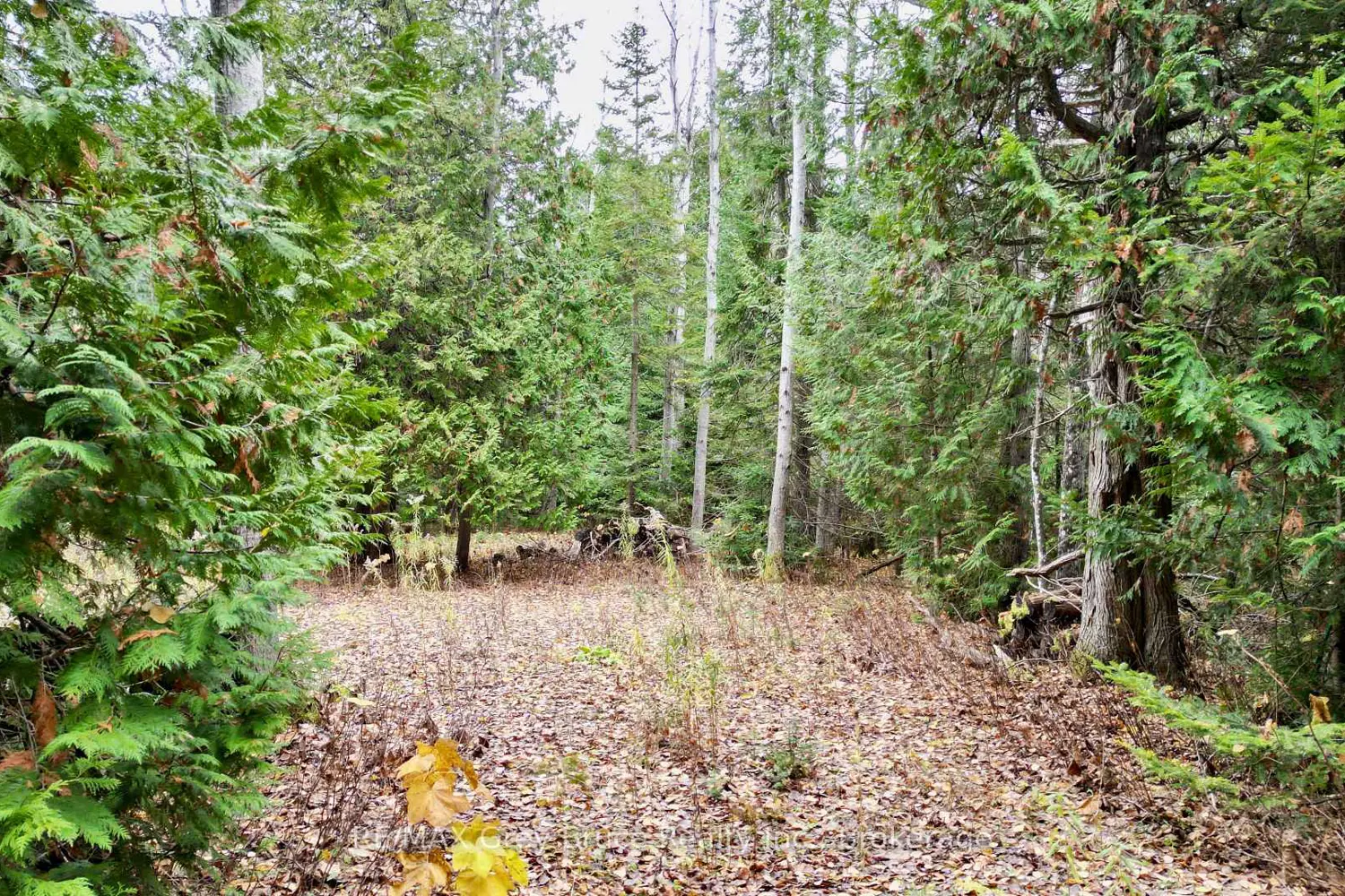 Additional image 3 of 44 Stokes Bay Road