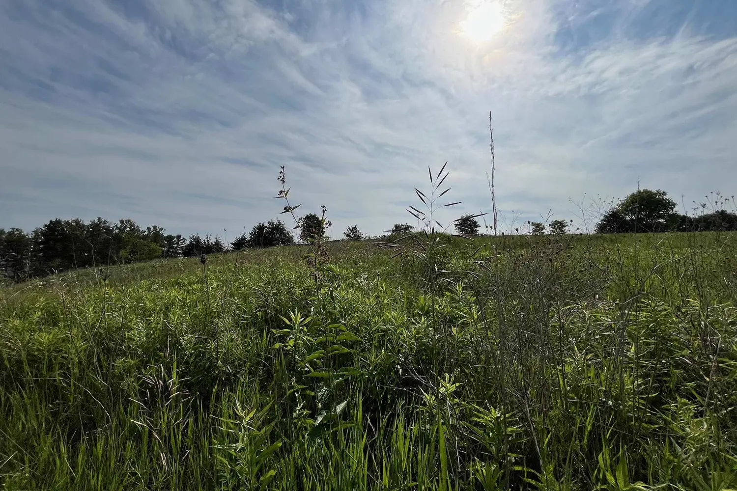 Additional image 2 of 4836 45 Highway Lot 3