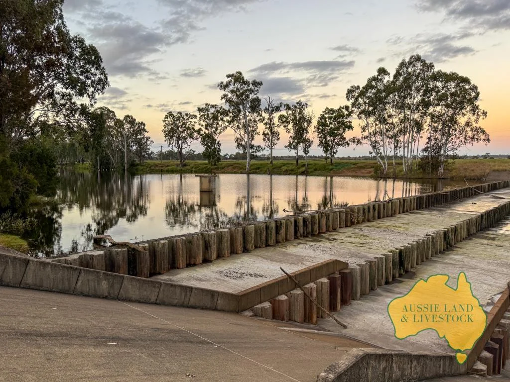 Additional image 20 of 8 SCREENING PLANT ROAD, Cynthia QLD 4627