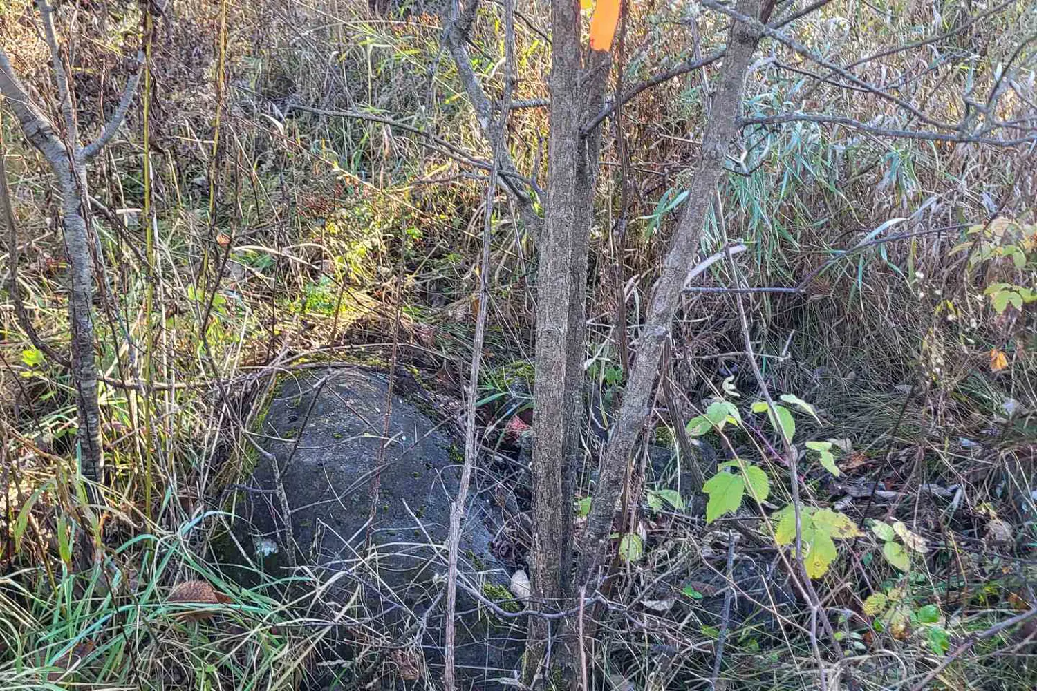 Additional image 10 of 395421 Concession 2 Road