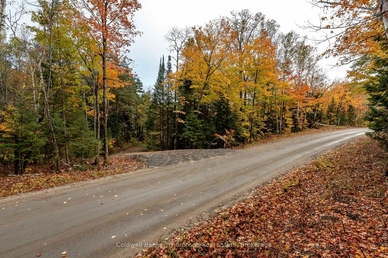 Additional image 2 of Lot 1 Emsdale Lake Road