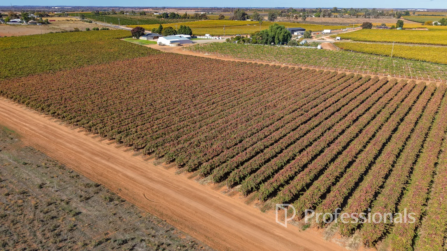 Additional image 11 of 225 Stewart Road, Red Cliffs VIC 3496